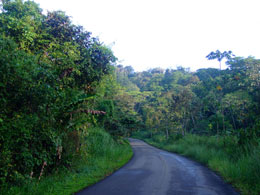 Achiote Road 2008