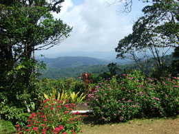 Birders´ View