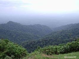 Cerro Pirre Darién