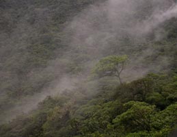 Nusagandi Reserve